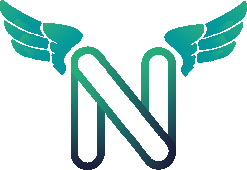 logo NIDIRIKI